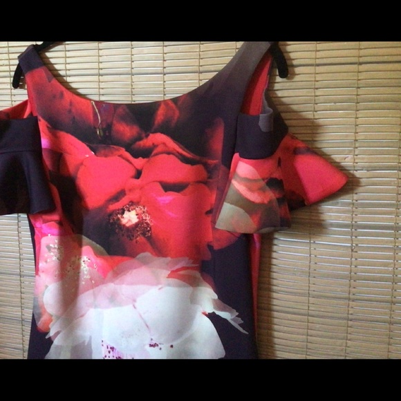 Frank Lyman NWT water color floral print, lovely dress - Picture 7 of 16